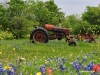 dsc_5704c-800x600