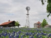 dsc_5762c-800x600