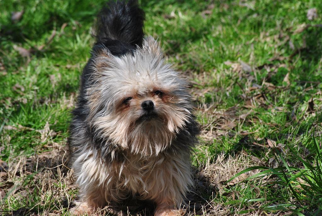 DSC_3839.JPG - Sniffing the breeze.