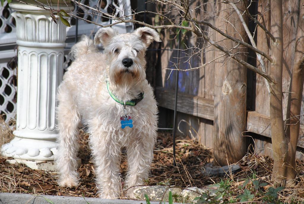 DSC_3729.JPG - Enjoying the garden.